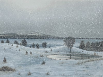 DONALD PROVAN - sun and snow
