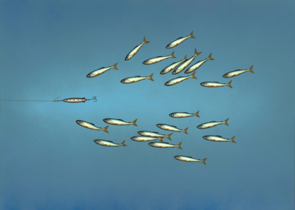 DONALD PROVAN - shoal splitter