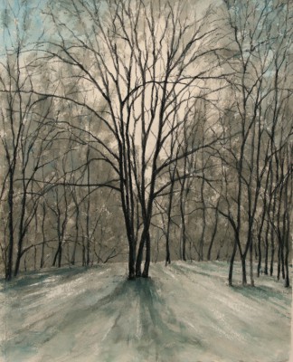 DONALD PROVAN - winter forest light