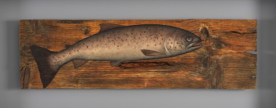 DONALD PROVAN - september, male