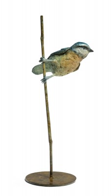 Blue Tit (Edition 3/12)