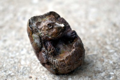 Hedgehog (Edition 3/48)