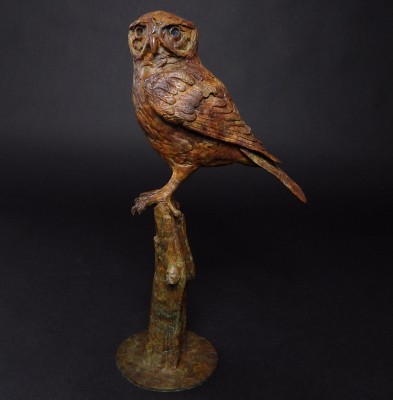 Little Owl (Edition 2/12)