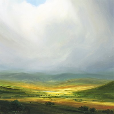 HARRY BRIOCHE - return to blue edale