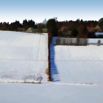IAN LEDWARD - winter fields at blebo craigs i