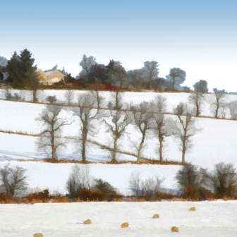 IAN LEDWARD - snow near strathkinness