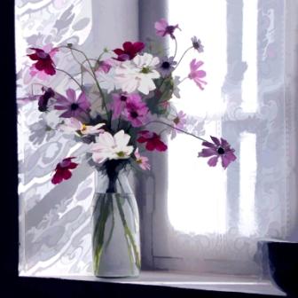 Pink and White Wild Flowers