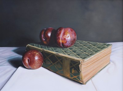 Still life with Book and Plums