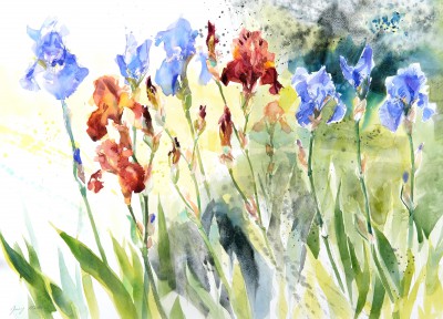 Irises Under the Cherry Tree