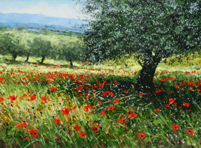 Olive Tree with Poppies