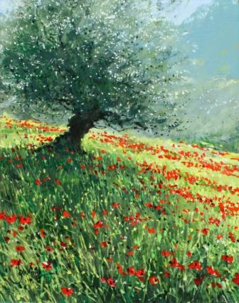 Olive Tree with Poppies