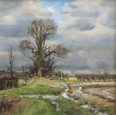 JOHN LINES - flooded ruts