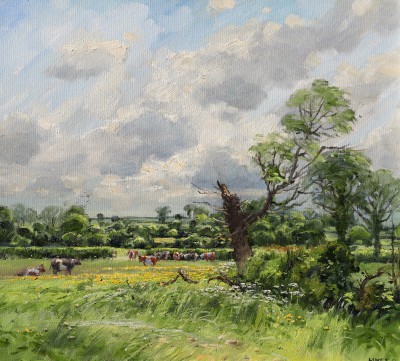 JOHN LINES - the broken ash