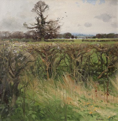 JOHN LINES - a new start