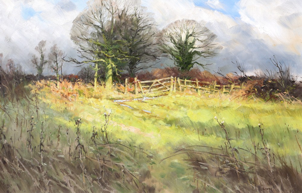 British Artist JOHN LINES - January Cloud Break