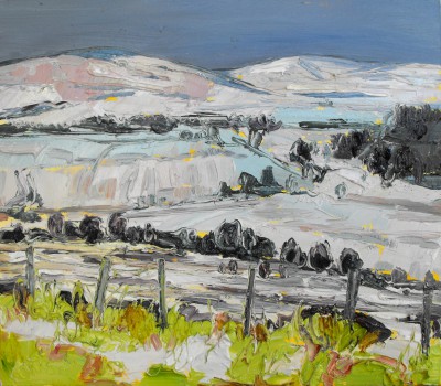 JUDITH BRIDGLAND - snowy fields, speyside