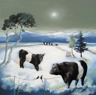 Belties Under Snowy Pines
