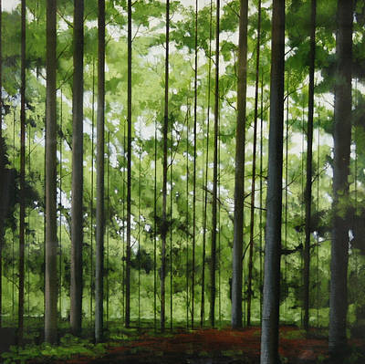 LOUIS S MCNALLY - no horizon