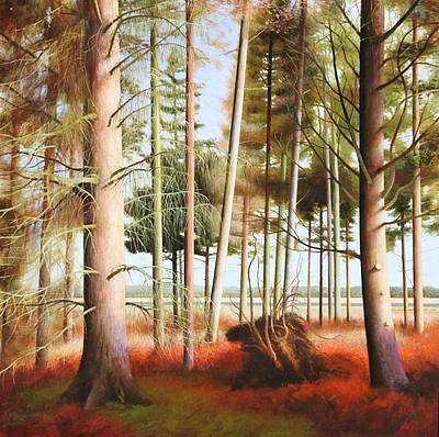 LOUIS S MCNALLY - a slice of country