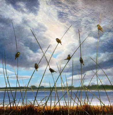 LOUIS S MCNALLY - shoreline