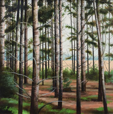 LOUIS S MCNALLY - woods