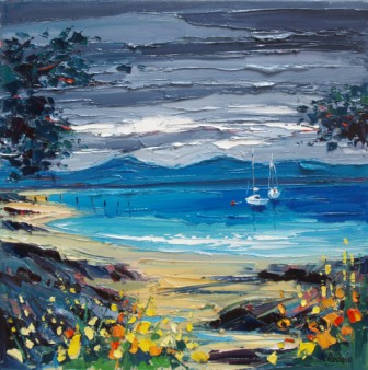 LYNN RODGIE - sands of morar