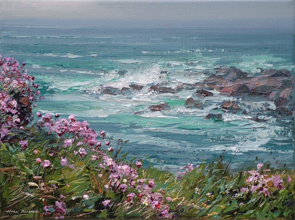 MARK PRESTON - thrift, priest's cove