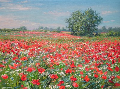 MARK PRESTON - poppies and blue sky, ednaston