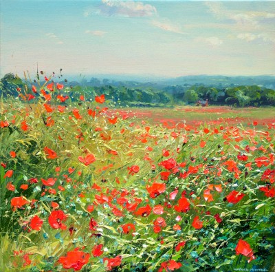 MARK PRESTON - field of poppies, aston-on-trent