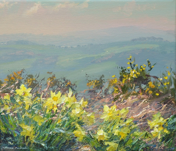 Mark Preston - daffodils and gorse, alport height 