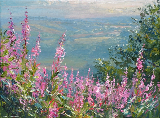 Mark Preston - willowherb, ashleyhay