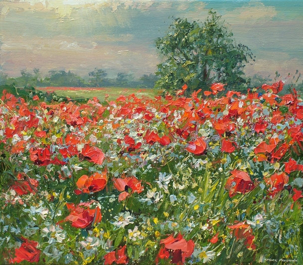 Mark Preston - summer evening, ednaston