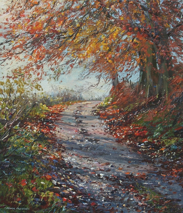 Mark Preston - sunlit beech trees, gunhills