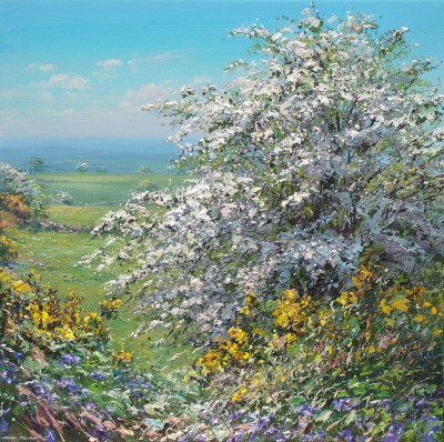MARK PRESTON - mayblossom, gorse and bluebells