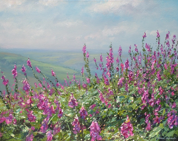 MARK PRESTON - a sea of foxgloves, bamford moor