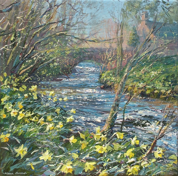 MARK PRESTON - daffodils, alport village