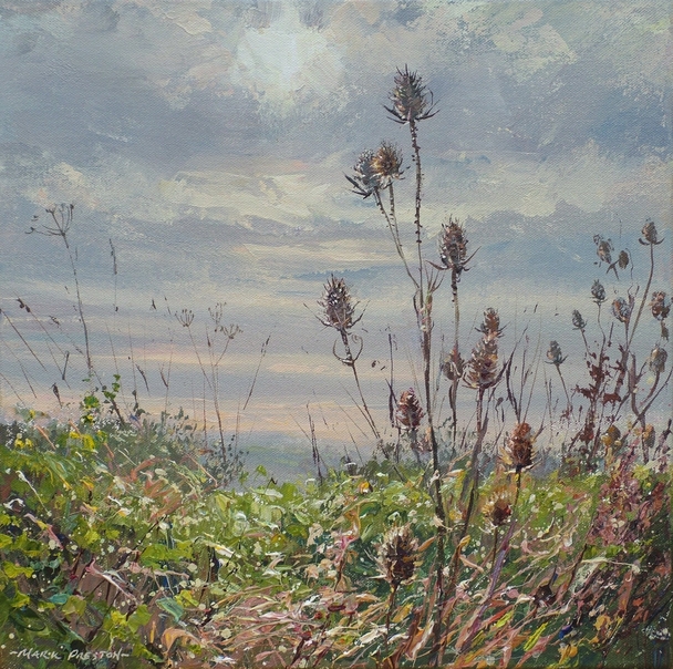 MARK PRESTON - sunlit teasel