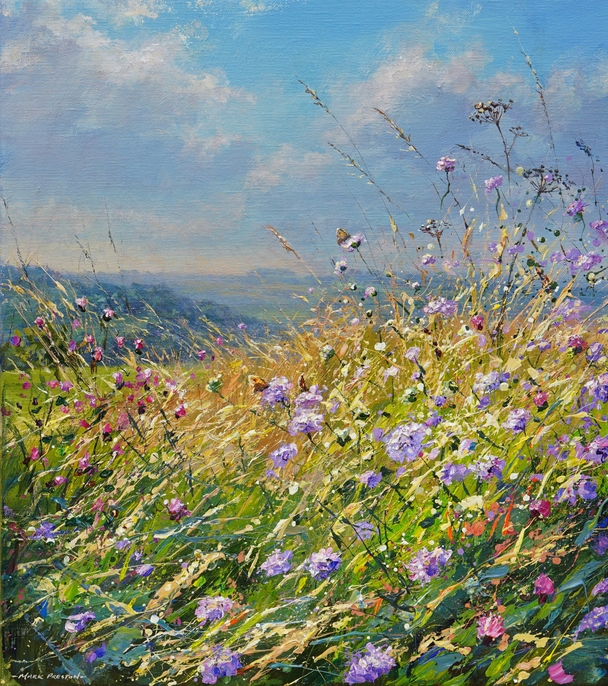 MARK PRESTON - meadow browns and scabious, bonsall moor
