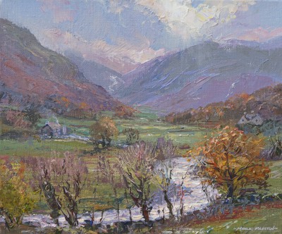 MARK PRESTON - autumn, stonethwaite beck