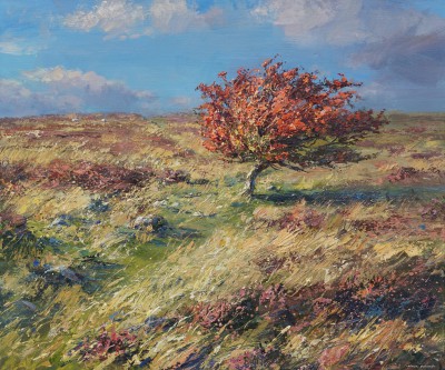 MARK PRESTON - red hawthorn, longstone moor
