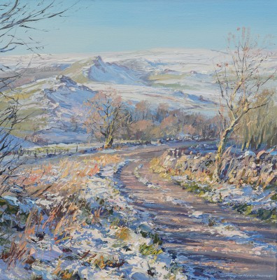 MARK PRESTON - clear winter's day, chrome hill