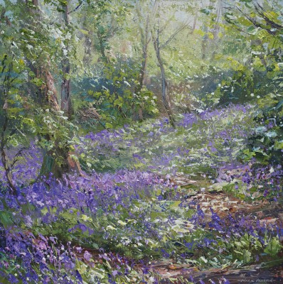 MARK PRESTON - spring woodland, allestree