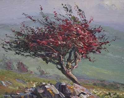Red Hawthorn, Pilsbury