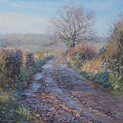 Clear Winter's Day, Rookery Farm Lane