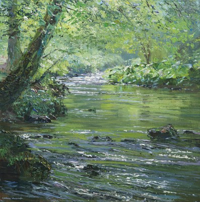 MARK PRESTON - summer reflections, wyedale