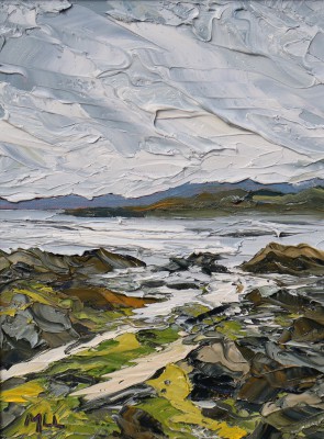 MARTIN LLEWELLYN - llanddwyn beach