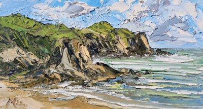MARTIN LLEWELLYN - porth dafarch, anglesey