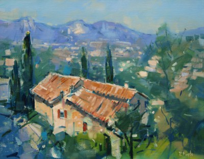 PETER FOYLE - les alpes maritimes, st paul de vence