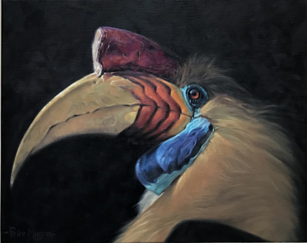 Scottish Artist PETER MUNRO - Hornbill