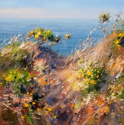 REX PRESTON - afternoon sunlight, cornish cliffs